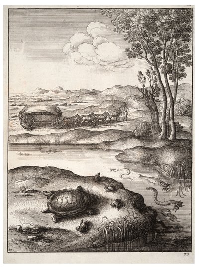 La tartaruga e le rane da Wenceslaus Hollar
